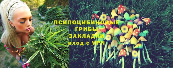 jwh Алзамай