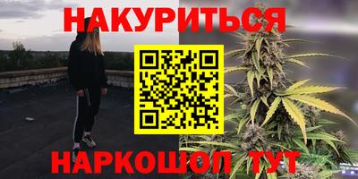 индика Тверь
