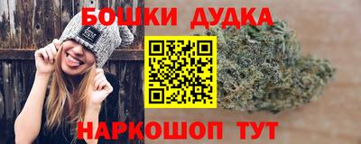 индика Тверь
