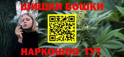индика Тверь