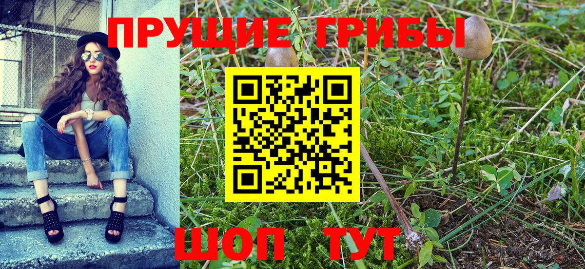 Псилоцибиновые грибы прущие грибы  Вход с VPN  Тверь 